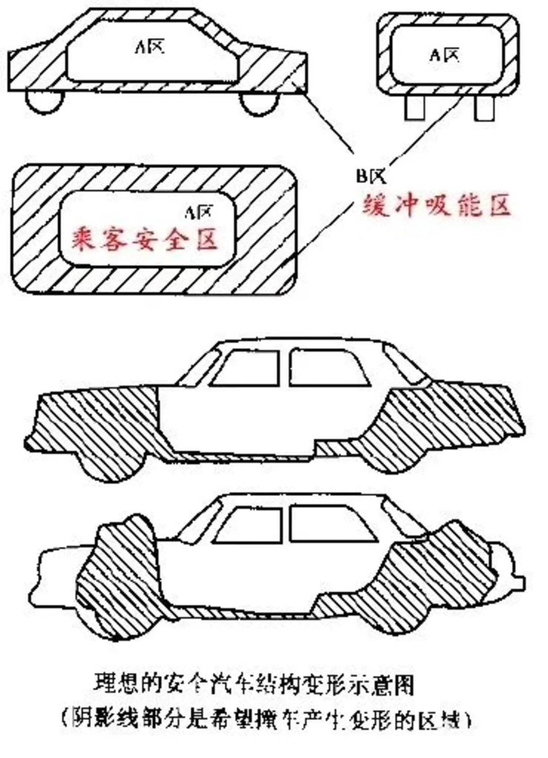 什么柱什么梁成语_瑶柱是什么贝壳图片