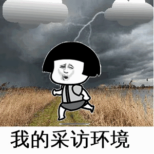 记者专用表情包来了!-有车以后