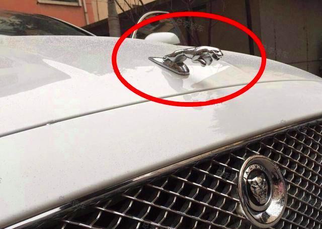 说到玩车标个个都是老司机最被玩坏的是保时捷