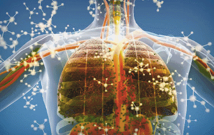 436_276gif 动态图 动图