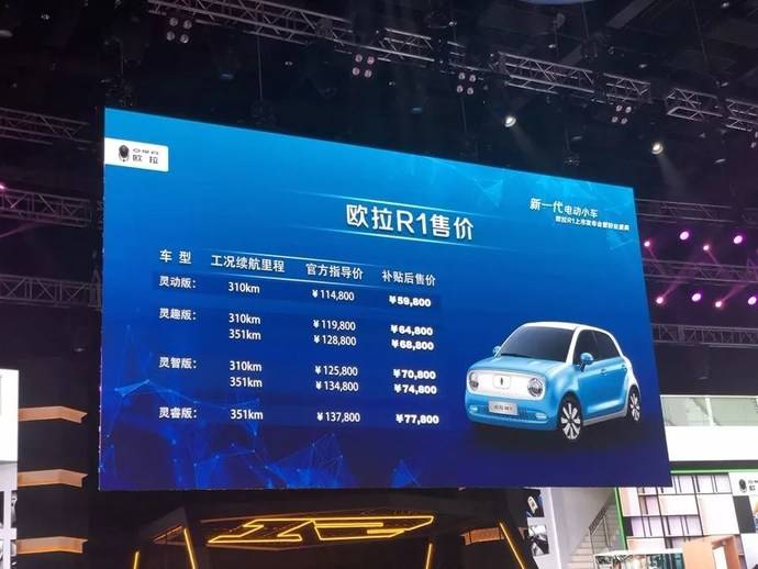 长城欧拉r1正式上市精品小车补贴后最低598万