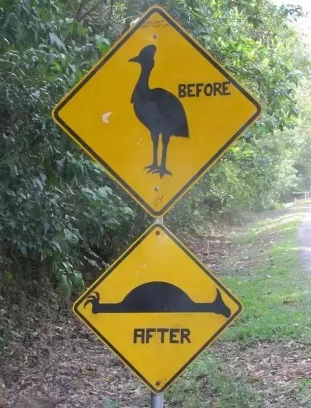 国内路标难记看过国外这些路标你才知道什么叫古怪