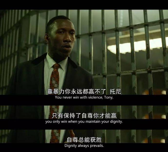 中国汽车版绿皮书