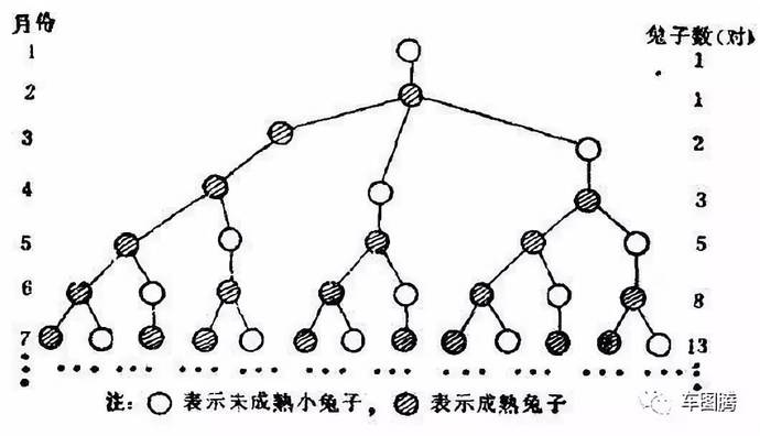 新奔腾的斐波那契数列用一个全新起点定义未来