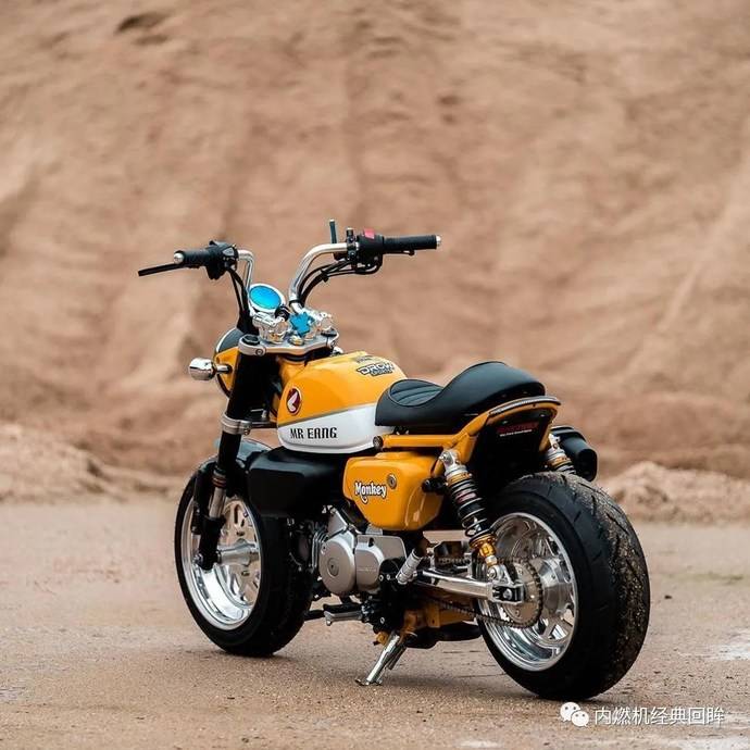 图赏令人着迷的本田小猴子