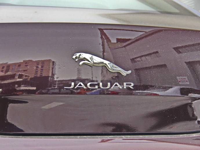 捷豹车标是什么含义