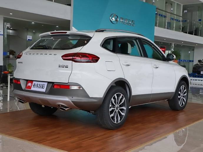 是十分简洁,线条优雅流动,富有层次感,猎豹的英文"leopaard"放置居中