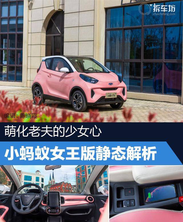 萌化老夫的少女心小蚂蚁女王版静态解析