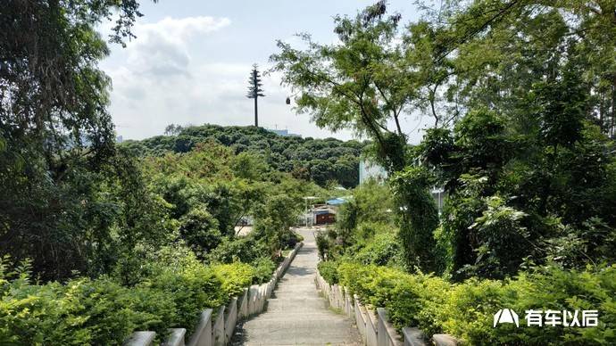 深圳長安車友會被遺忘的高傲夾縫中的大頂嶺公園