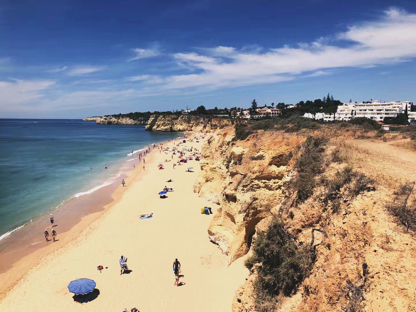 于是我们临时决定要去葡萄牙南部的城市法鲁一趟